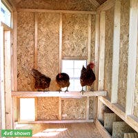 4x6 colonial gable coop interior with chickens
