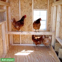 4x6 gambrel barn coop interior roost with chickens