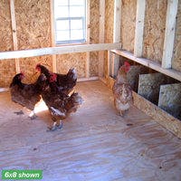 6x8 colonial gable coop interior chickens