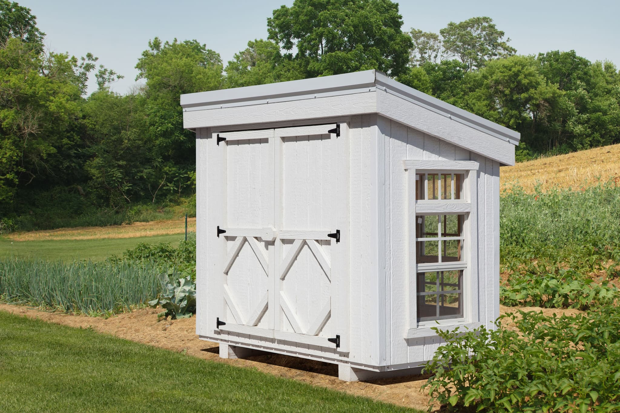 Petite Greenhouse in garden