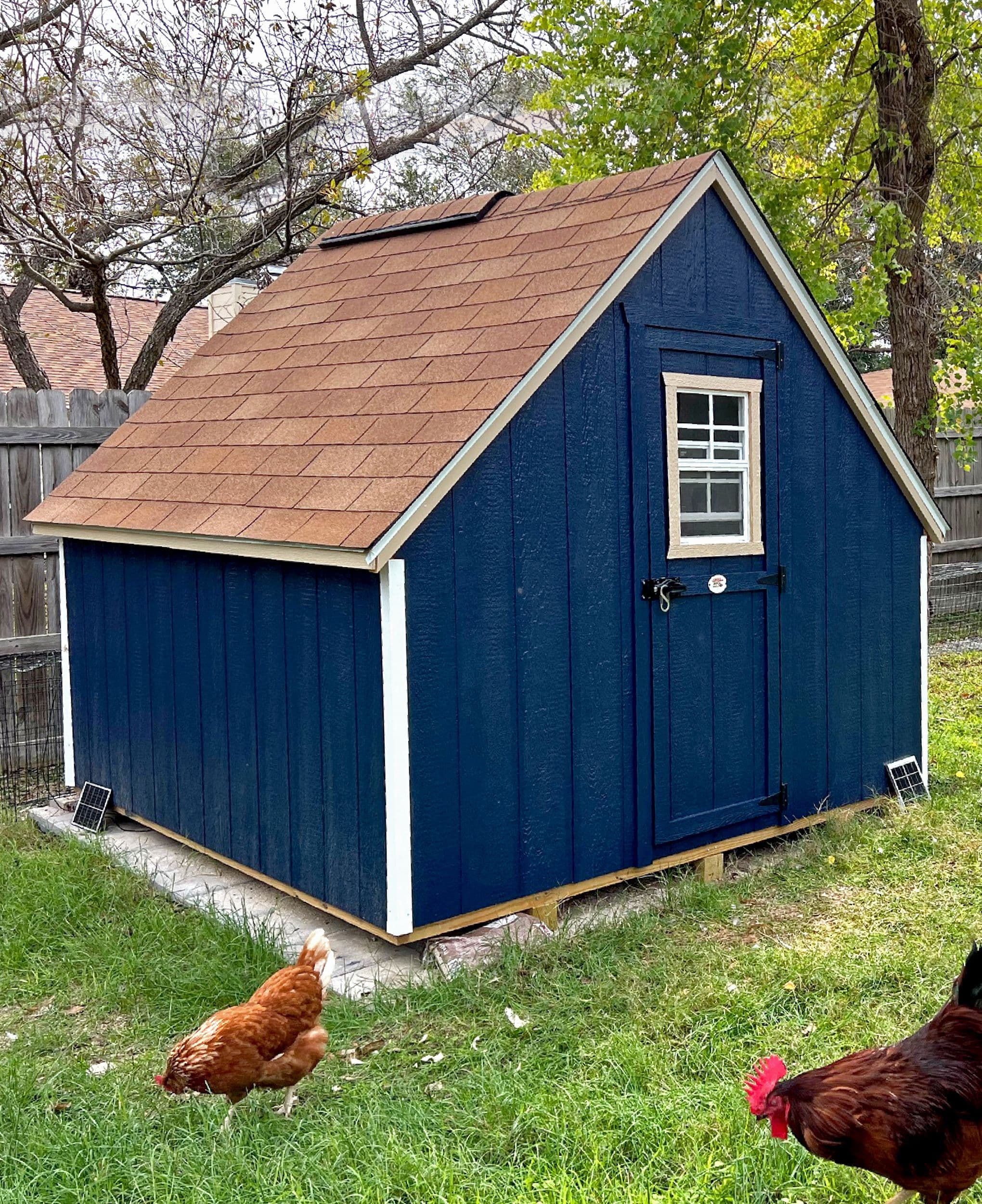 wood value a frame chicken coop in blue
