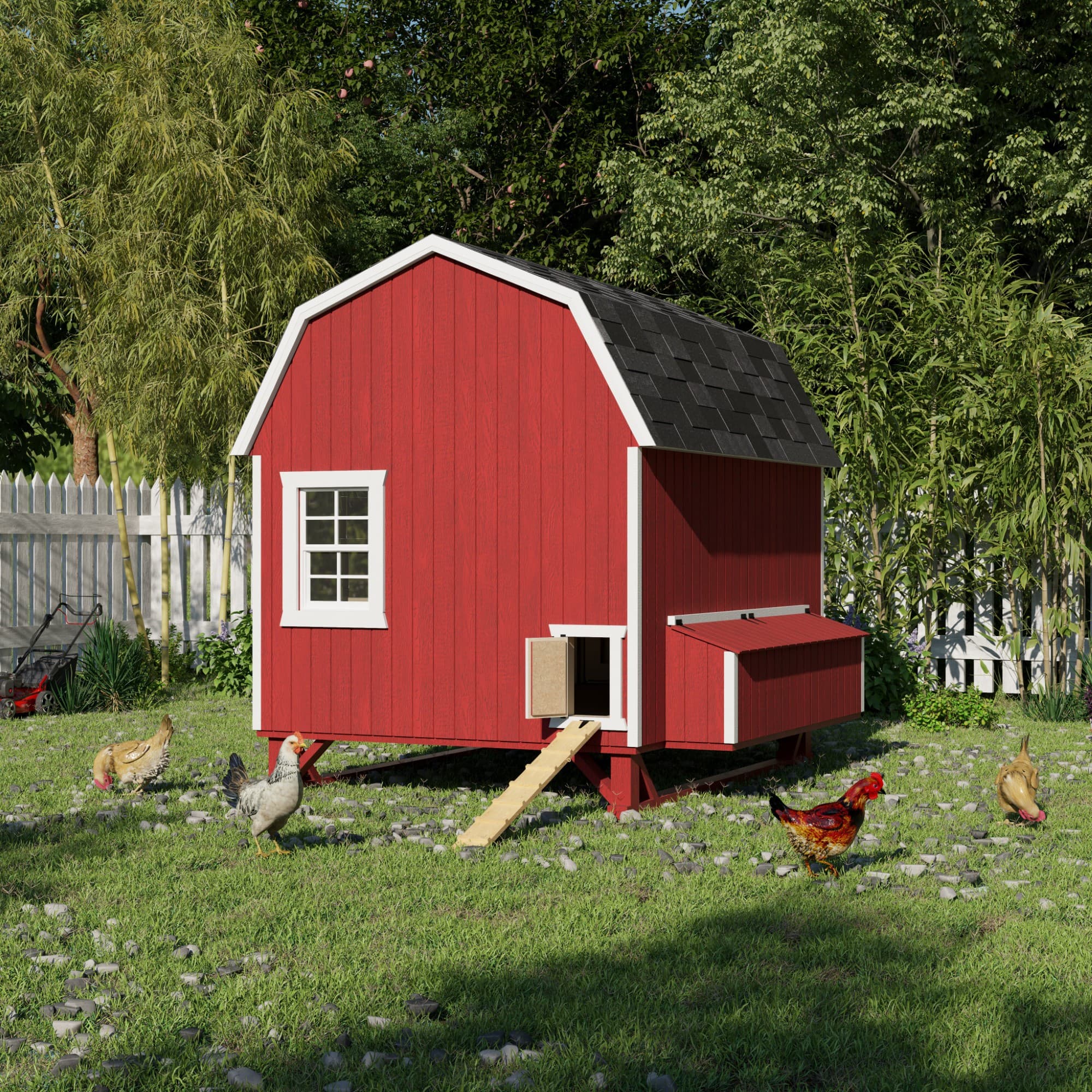 Gambrel Barn Chicken Coop lifestyle